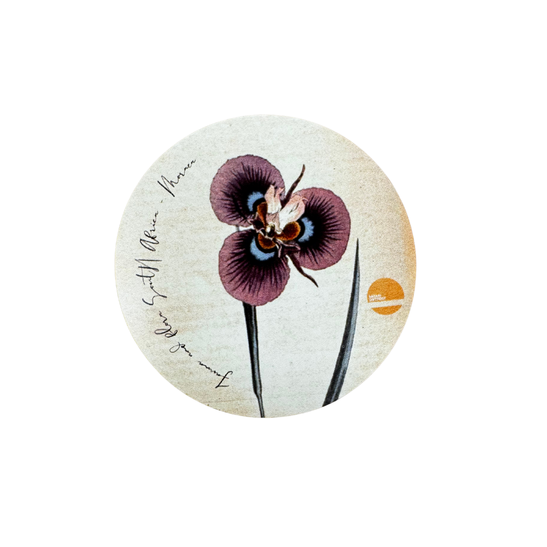 Flower Magnets
