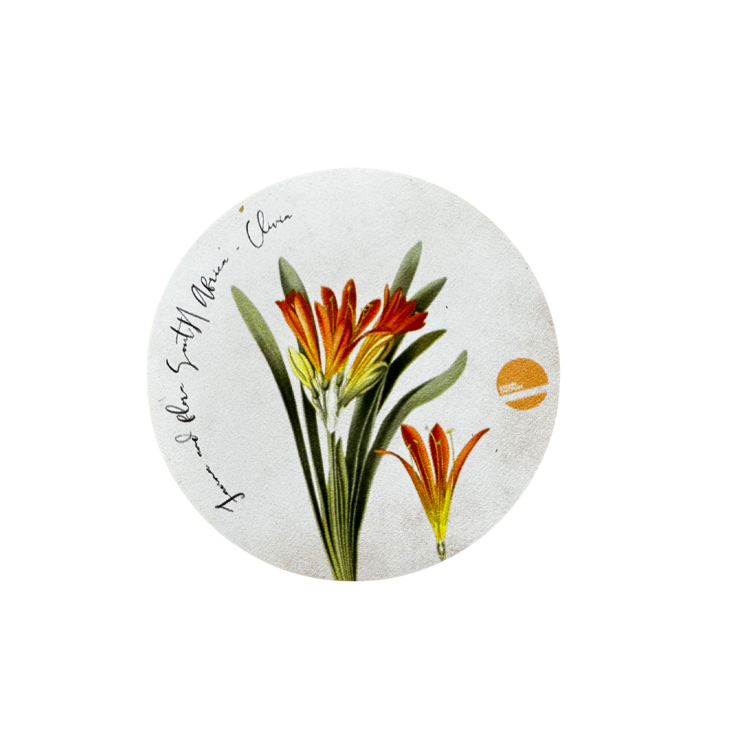 Flower Magnets