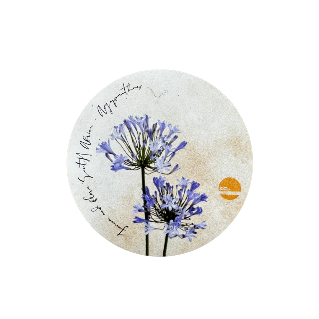 Flower Magnets