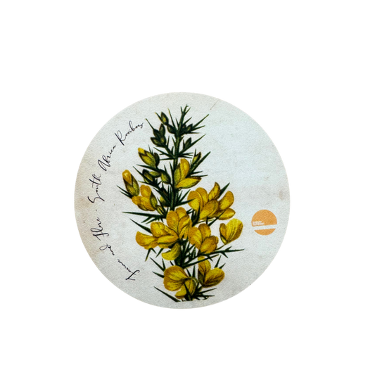 Flower Magnets