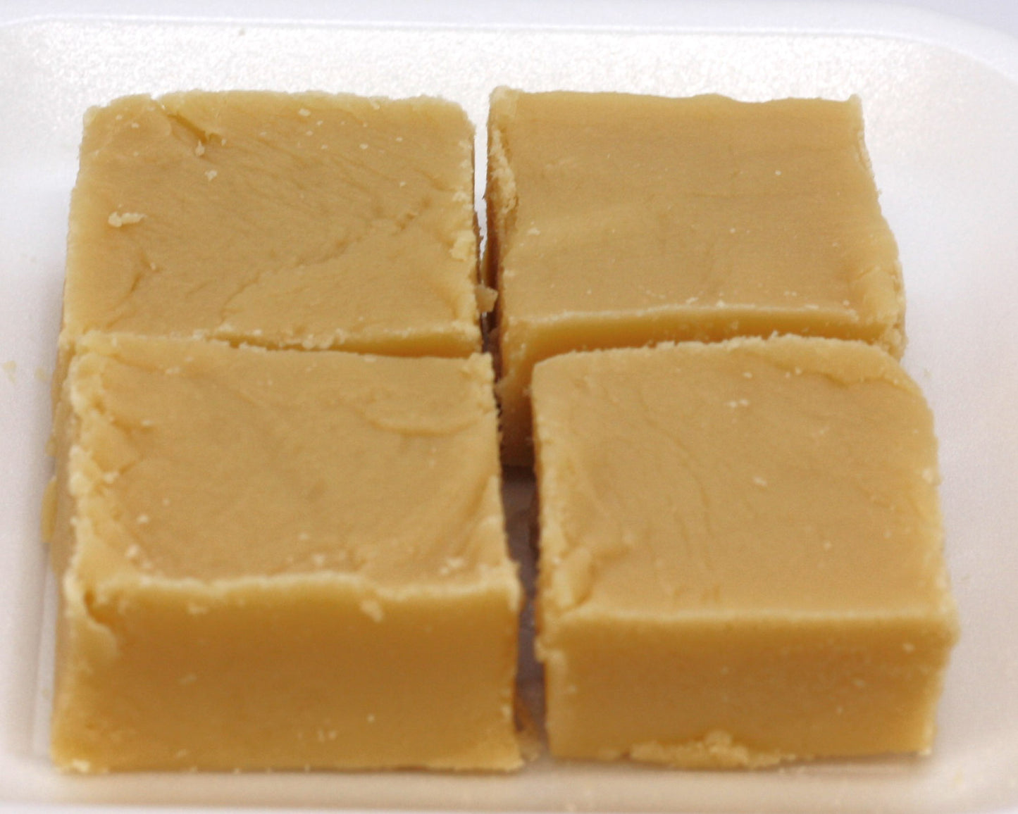 Fudge - Safari Outpost