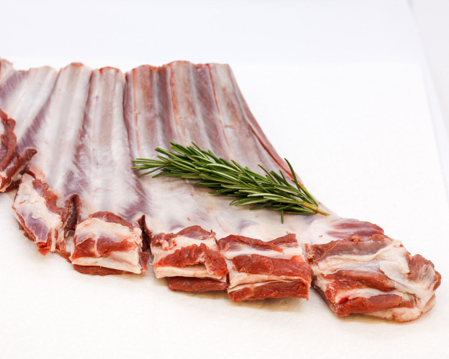 Lamb Rib - Safari Outpost