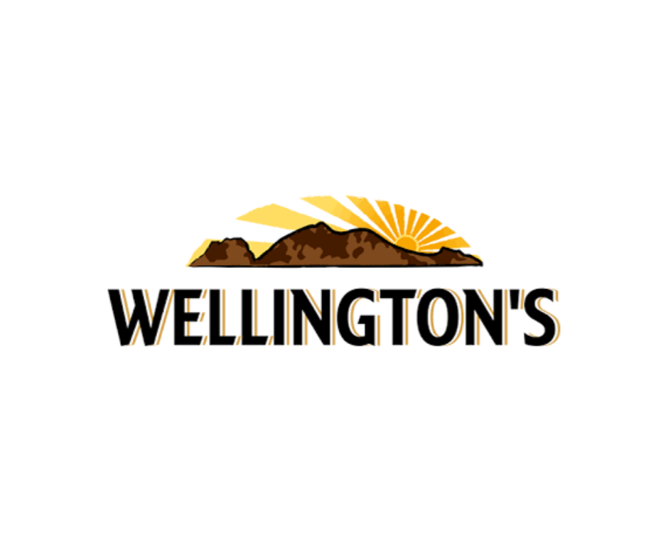 Wellington's Sauce - Sweet Chilli Mild (Squeeze) 375ml