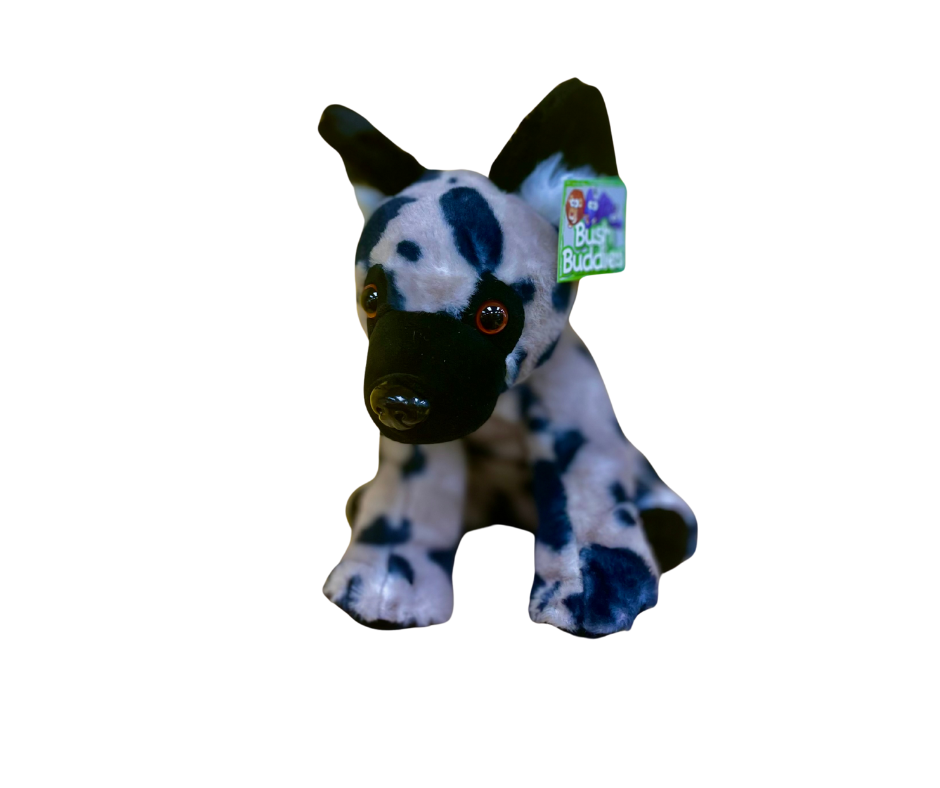 Bush Buddies Plush & Cuddly - Wild Dog - Large 25cm